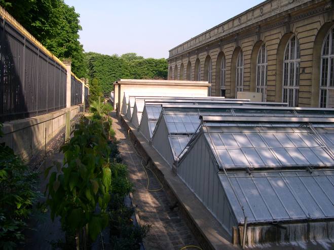  Serres de l'Ecole des mines (5e)